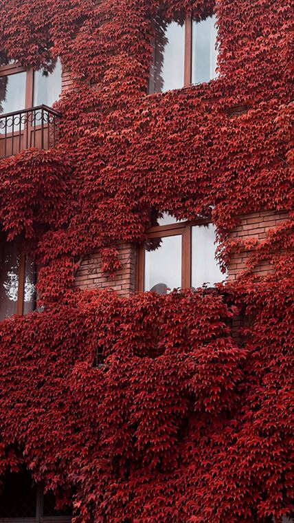 Red façade, Georgia - photograph by Lika Arobelidze