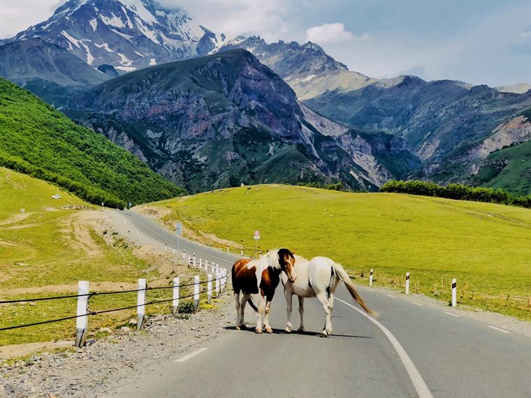 Right of way, Greater Caucasus - photograph by Lika Arobelidze