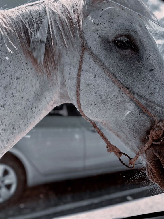 At the window, Greater Caucasus - photograph by Lika Arobelidze