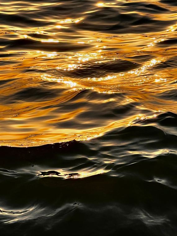 Gold, moving - photograph by Lika Arobelidze